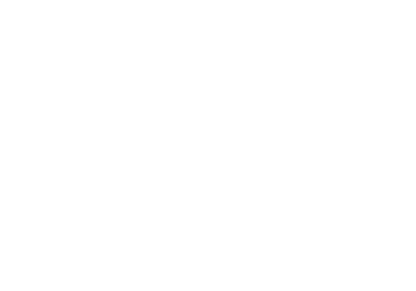 logo-ceacc-wt